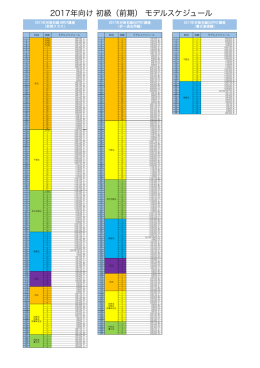 2017年対策初級OUTPUT講座 （択一過去問編） 2017年対策初級