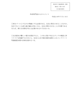 外部専門家からのコメント 平成28年7月19日 〇何をゴールとするのか