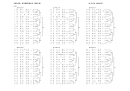 平成28年度 埼玉県選手権大会（高校の部） Aブロック Cブロック E