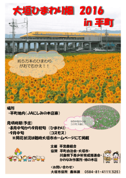 大垣ひまわり畑 2016 in 平町