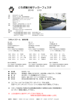 とちぎ蔵の街サッカーフェスタ