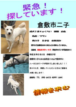 成犬18kgくらい 雑種 白色 名前：ブラン 男の子 5才位 去勢済み 穏やか