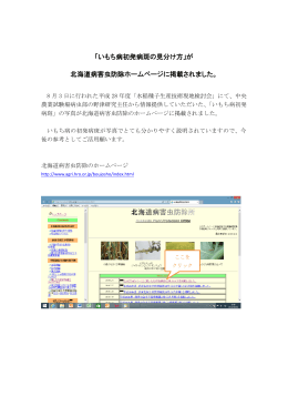 「いもち病初発病斑の見分け方」が 北海道病害虫防除ホームページに