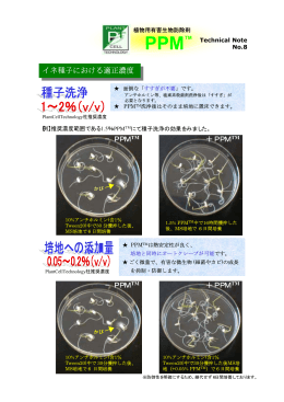 PPM：稲種子における適性濃度