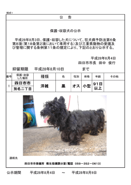 まで 抑留期限 平成28年8月10日 種類 四日市市 洋雑 黒 オス 小型 91