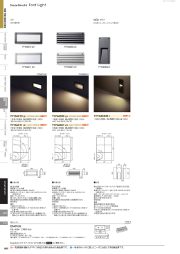 Foot Light