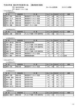 平成28年度 横浜市市民夏季大会 【最終確定成績】