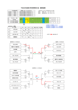 最終結果 - Aikawa Baseball Association