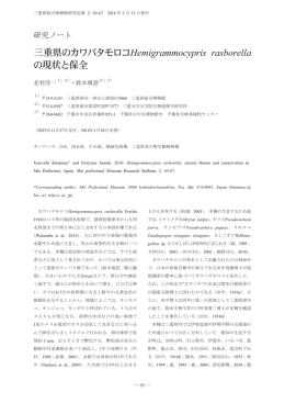 来 提供者 者 告 内 伊 伊 伊 真屋 院 資 内 性セ 受 受理 植