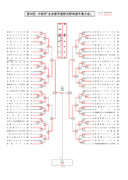 第48回 中信杯「全京都学童軟式野球選手権大会」