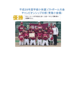平成28年度宇城小体連ソフトボール大会 チャンピオンシップの部（青海
