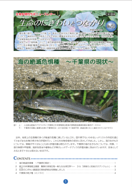 全4ページ（1355KB） - 千葉県生物多様性センター/トップページ