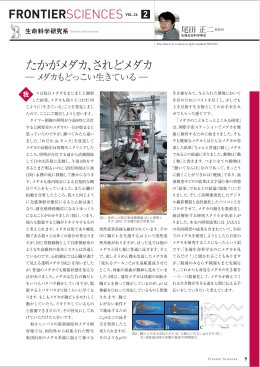 たかがメダカ、されどメダカ FRONTIERSCIENCES