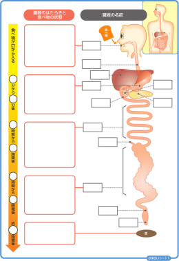 臓器のはたらきと 食べ物の状態 臓器の名前