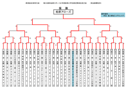 県民総合体育大会＞第35回埼玉県スポーツ少年団夏季小学生軟式野球