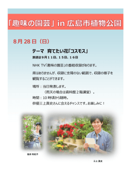 夏のイベント チラシ