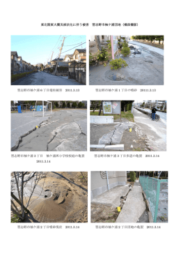 東北関東大震災液状化に伴う被害 習志野市袖ケ浦団地（橋詰撮影