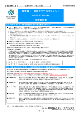東京海上・東南アジア株式ファンド 月次報告書