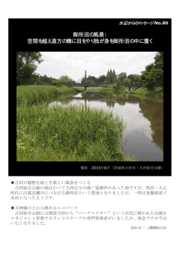 御所沼の風景： 空間を越え遠方の橋に目をやり我が身を御所沼の中に置く