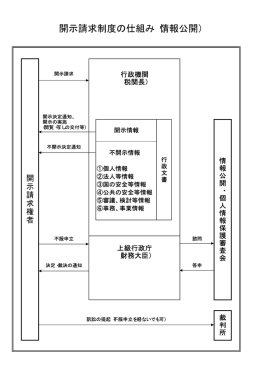 開示請求制度の仕組み（情報公開）