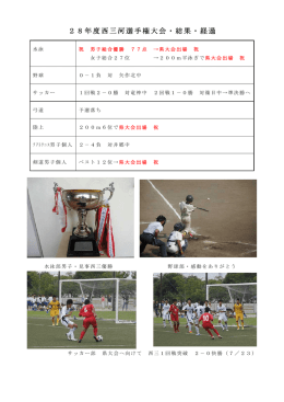 28年度西三河選手権大会・結果・経過