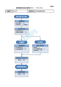 別添3 倫理審査委員会審査フローサンプル