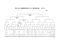 第91回 全国高等学校サッカー選手権大会 2012