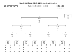 第43回沖縄県高等学校野球新人中央大会組み合わせ