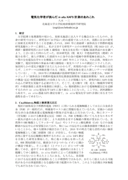 電気化学者が挑んだ in situ XAFS 計測のあれこれ