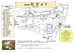 植物園 花 だ よ り