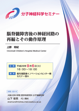 脳脊髄障害後の神経回路の 再編とその動作原理