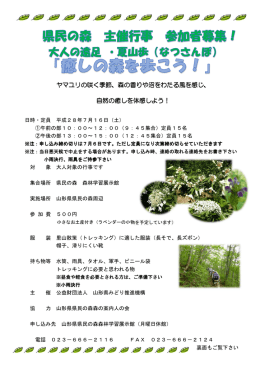 森の香りや沼をわたる風を感じ、 森の香りや沼をわたる風を感じ
