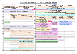 平成28年度 進路外部模試、トレーニング、英語検定等 年間計画