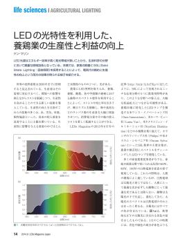 LEDの光特性を利用した、 養鶏業の生産性と利益の向上