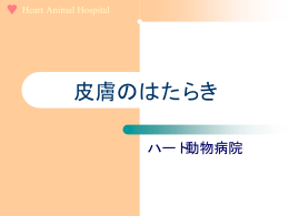 皮膚のはたらき - ハート 動物病院