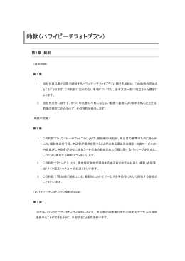 約款（ハワイビーチフォトプラン）