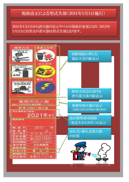 規格改正による型式失効（2011年1月1日施行）