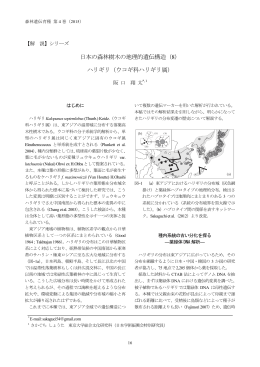 日本の森林樹木の地理的遺伝構造（8） ハリギリ
