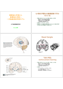 講義2009 基底核 - ATR 脳情報通信総合研究所