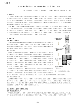 すべり面を含むボーリングコアの X 線 CT による分析について