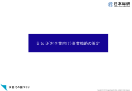 BtoB（対企業向け）事業戦略の策定（PDF:456.1KB）