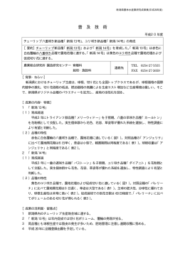 チューリップ八重咲き新品種「新潟13号」、ユリ咲き新品種「新潟14号」