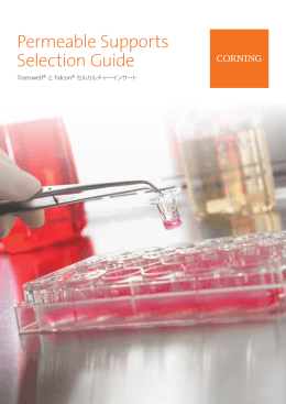 さらに詳しく - Corning