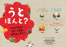 食のパンフレット(PDF約7.63KB)