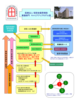 医療法人恒昭会藍野病院 看護部門 キャリアアップモデル図