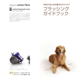 ブラッシング ガイドブック