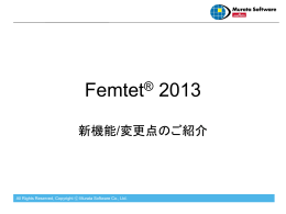 Femtet® Ver2013.0詳細