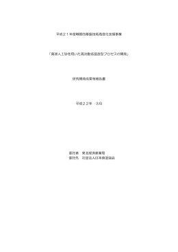 平成21年度戦略的基盤技術高度化支援事業 「真球人工砂