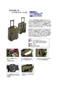 EA927BB-22 ソフトキャリーバッグ