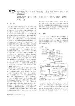 化学反応コンパイラ「React」によるバイオパスウェイの 動態解析 (徳島大